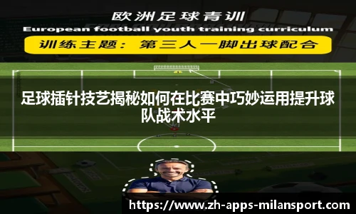 足球插针技艺揭秘如何在比赛中巧妙运用提升球队战术水平